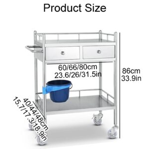 Stainless Steel Medical Cart, Lab Serving Cart, Utility Cart, with Two Drawers for Lab Equipment Use Grade Stainless Steel Utility Services (2 Shelves/ 2 Drawer) ( Size : 60x40cm(23.6x15.7in) )