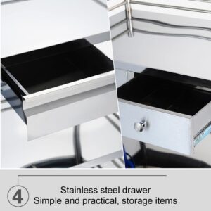 Stainless Steel Medical Cart, Lab Serving Cart, Utility Cart, with Two Drawers for Lab Equipment Use Grade Stainless Steel Utility Services (2 Shelves/ 2 Drawer) ( Size : 60x40cm(23.6x15.7in) )