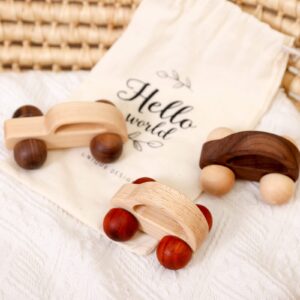 Wooden Rattle Toy Car Set 3PCS Baby Toy Skill Development Educational Toy Environmental Protection Toy Car - Walnut, Maple, Mahogany