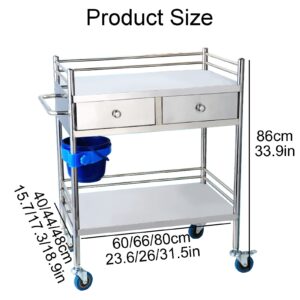 Medical Cart, Laboratory Equipment Rolling Carts, with 2 Shelves Shelf Stainless Steel with Wheels Rolling Cart, Commercial Wheel Dental Lab Cart Utility Services ( Size : 66x44cm(26x17.3in) )