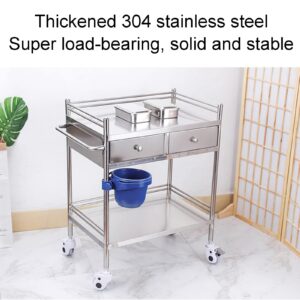 Medical Cart, 2-Tier Shelf Trolley/Storage Rolling Cart, With 1 Handles, Metal Chrome, Medical Trolley 2 Tier Heavy Duty Medical Utility Cart, for Hospital Dental Clinic Home ( Size : 80x48cm(31.5x18.