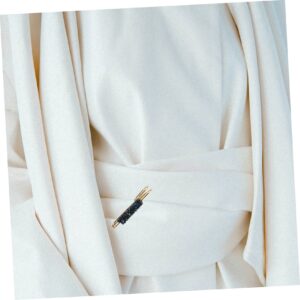 Anneome 2 Pcs Change The Waistband to Small Pins Shirt Pin Brooch Bridal Cape Sweater Shawl Clip Women Clothes Brooch Clothes Pin Women Sweaters Miss Cardigan Skirt Rhinestones