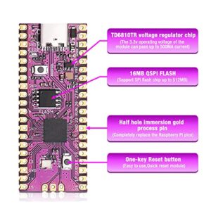 Microcontroller Board, 512GB Memory Maximum Low Power Consumption USB C Interface Plug and Play Dual Core Microcontroller Replacement Modchip for Game Console (White)