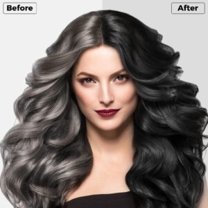 BELEZALIB Instant Black Hair Dye Shampoo for Women Men Hair Color Shampoo for Gray Hair- 100% Gray Coverage - Herbal Ingredients 3 in 1 16.9Fl OZ