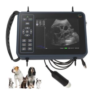 pregnancy test ultrasound scanner veterinary machine portable b-ultra sound scanner farm animals pregnancy mechanical sector ​scanning probe for sheep, pig pregnancy test