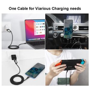 CableCreation 2 in 1 USB C Cable Bundle with USB C Cable 10Gbps 1FT