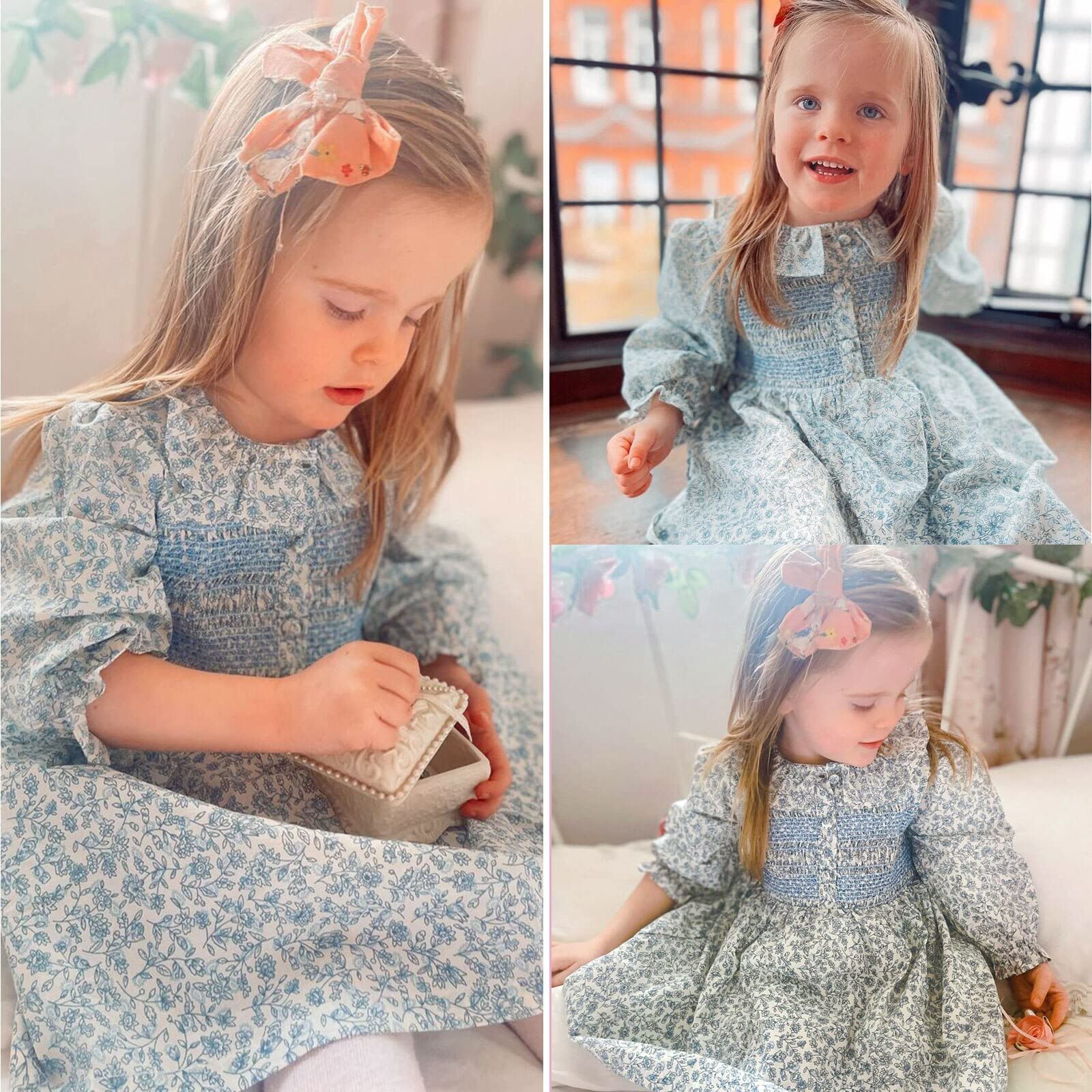 Curipeer Baby Girls Long Sleeve Floral Dress Flower Printed Smock Toddler Ruffle Dress for Autumn and Spring Blue 12M