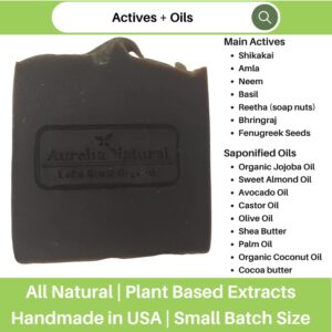 Ayurveda Hair Shampoo - Qty 2 | Shikakai Amla Reetha Neem Basil | Great For Gift