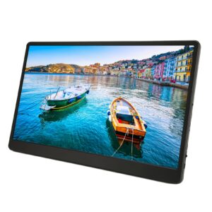 15.6 inch portable monitor with 178° full viewing angle and eye protection technology, dual stereo speakers, 1920x1080 blue light filter for business, travel or home(usa)