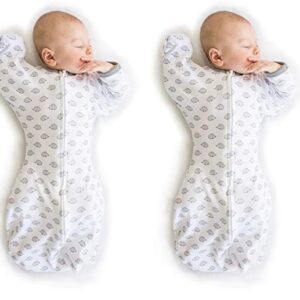 SwaddleDesigns Transitional Swaddle Sack with Arms Up Half-Length Sleeves and Mitten Cuffs, Tiny Hedgehogs, Small, 0-3mo, 6-14 lbs (Better Sleep for Baby Boys, Baby Girls, Easy Swaddle (Pack of 2)