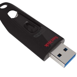 SanDisk 32GB 20 Pack Flash Drives Ultra 3.0 USB Drives for Laptop and Computer - High Performance Thumb Drives (SDCZ48-032G-U46) Pen Drive Bulk Pack Bundle with (20) Everything But Stromboli Lanyards