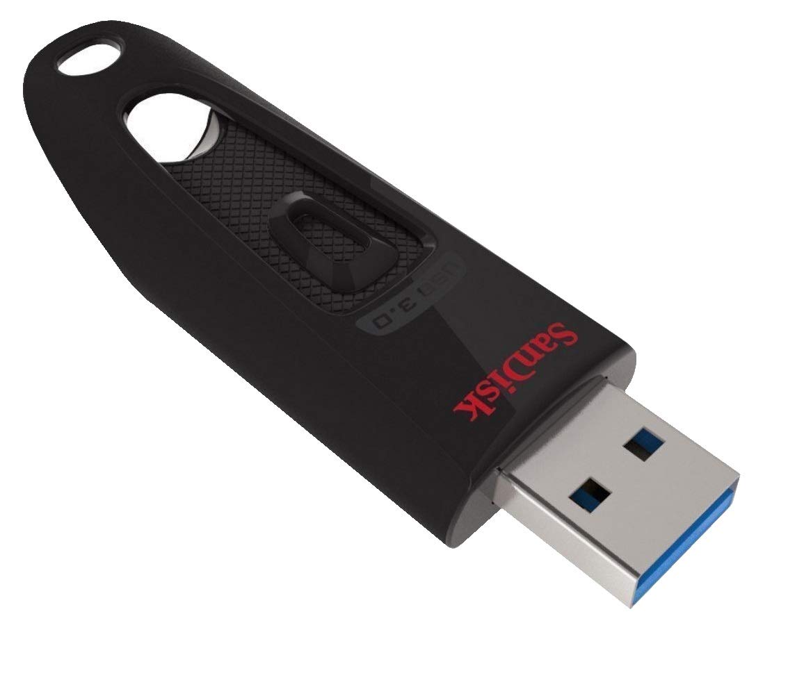 SanDisk 32GB 20 Pack Flash Drives Ultra 3.0 USB Drives for Laptop and Computer - High Performance Thumb Drives (SDCZ48-032G-U46) Pen Drive Bulk Pack Bundle with (20) Everything But Stromboli Lanyards