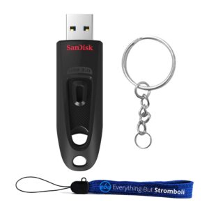 sandisk ultra 256gb usb 3.0 flash drive bundle with (1) everything but stromboli lanyard & key ring