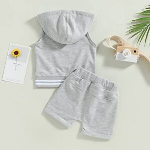 allshope Toddler Baby Boy Summer Outfit Sets Sleeveless Zipper Pockets Hoodie with Solid Color Drawstring Shorts 2PCS Clothes Set (Gray, 2-3 Years)