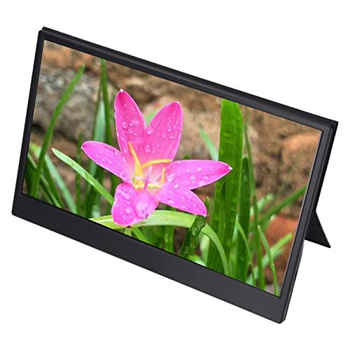 Portable Laptop Monitor, 1440P IPS 100-240V 13.3 Inch Laptop Monitor Ultra Slim HDR for PS4 for Travel (US Plug)