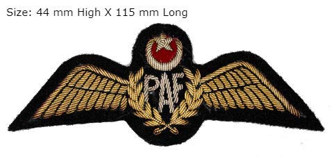 PAKISTAN AIR FORCE PILOT GOLD BULLION WIRE WING EXCELLENT QUALITY CP BRAND