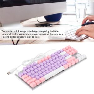 Blue Switch USB Wired Gaming Keyboard, Floating Key Structure with Splash Proof Drainage Holes, Conflict Free Design, 87 Key 26 RGB Color Mechanical Keyboard(Purple Pink White)