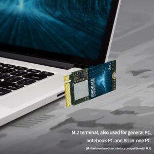 KINGDATA 256GB M.2 2230 NVMe PCIe SSD Gen 4.0X4 - Internal Solid State Drive Compatible with PS5, Steam Deck, Microsoft Surface, Ultrabook, Laptop, Desktop (256GB, M.2 2230 NVMe 4.0)