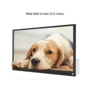 Portable Monitor, 15.6 Inch, 1920×1080 FHD, IPS Monitor Screen, Portable Screen, Dual Built-in Speaker