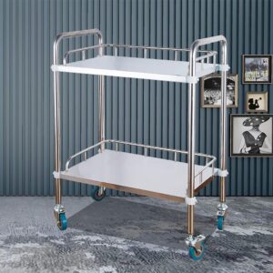 INDYAH Movable Trolleys, Kitchen Storage Hand Trucks, 2 Tier Stainless Steel Beauty Salon Rolling Trolley,Hospital/Dental Clinic Cart,Universal Brake Wheel/a/S-60X40X86Cm