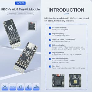 youyeetoo Sipeed M0S Dock tinyML RISC-V BL616 Wireless Wifi6 Module Development Board,TinyMaix, IOT Module, Support BT 5.2 and zigbee (Bundle B)