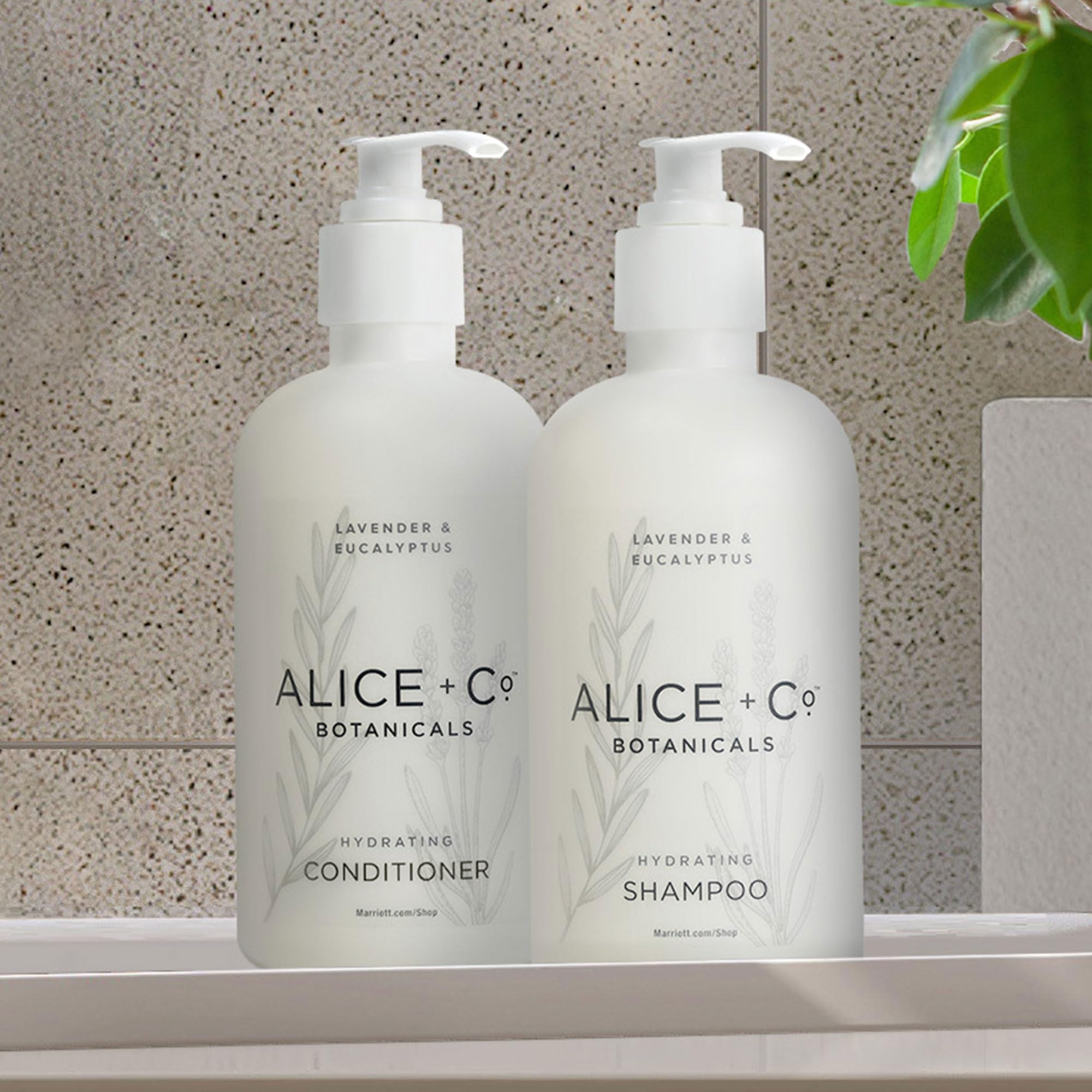 Alice + Co. Shampoo & Conditioner - Fairfield by Marriott - TownePlace - SpringHill - Hotel Bath Amenities - Lavender & Eucalyptus - 8.5 oz Bottles - Hair Care Set