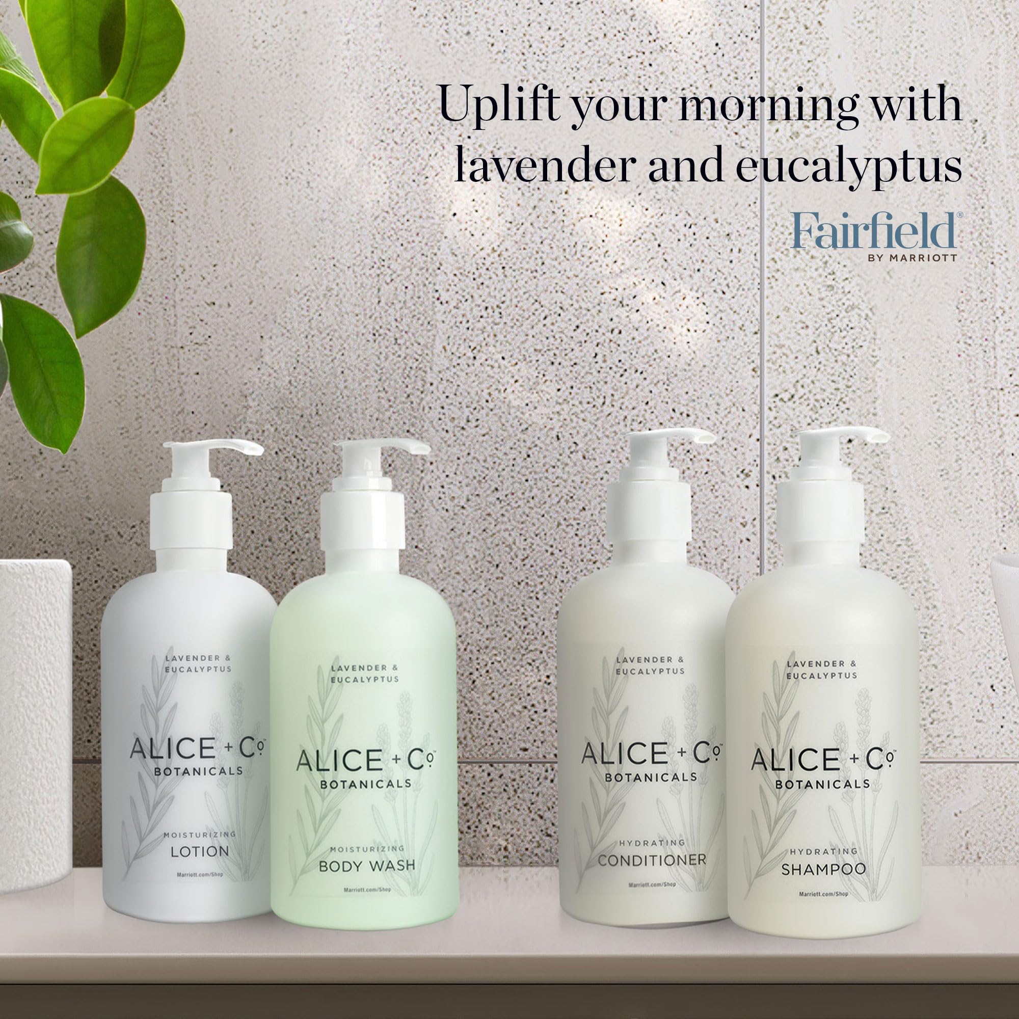 Alice + Co. Shampoo & Conditioner - Fairfield by Marriott - TownePlace - SpringHill - Hotel Bath Amenities - Lavender & Eucalyptus - 8.5 oz Bottles - Hair Care Set