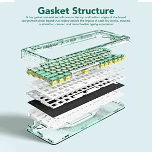 Asixxsix Mechanical Gaming Keyboard, 80 Keys RGB Backlit Wireless Bluetooth PC Keyboard Gasket Structure Rechargeable Wired Keyboard with Transparent Case and 2 Layers Keycaps for Computer (Green)