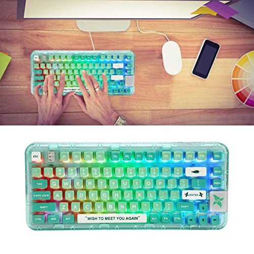 Asixxsix Mechanical Gaming Keyboard, 80 Keys RGB Backlit Wireless Bluetooth PC Keyboard Gasket Structure Rechargeable Wired Keyboard with Transparent Case and 2 Layers Keycaps for Computer (Green)