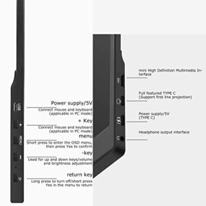 GOWENIC Portable Monitor, IPS Ultra Thin FHD Gaming Monitor, 13.3in 15.6in HDR USB HDMI Computer Display, External Monitor for Laptop Phone Tablet, Freesync Technology (15.6 inch)