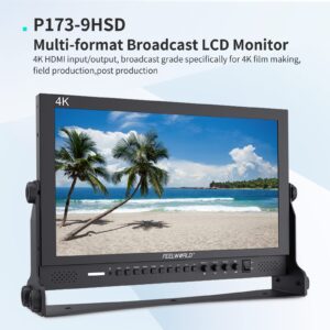 FEELWORLD P173-9HSD 17.3 Inch Design 1920x1080 Desktop Monitor for Broadcast LCD Monitoring with 3G SDI HDMI YPbPr Input Output