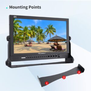 FEELWORLD P173-9HSD 17.3 Inch Design 1920x1080 Desktop Monitor for Broadcast LCD Monitoring with 3G SDI HDMI YPbPr Input Output