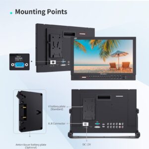 FEELWORLD P173-9HSD 17.3 Inch Design 1920x1080 Desktop Monitor for Broadcast LCD Monitoring with 3G SDI HDMI YPbPr Input Output