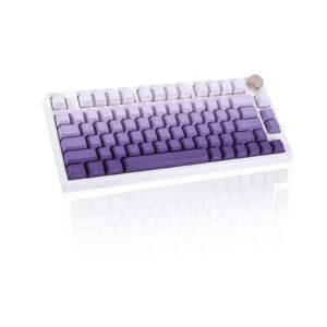 JOLINTAL 134 Keys Gradient Purple Keycaps, PBT Double Shot Dying Keycaps, OEM Side Print Keycaps Custom Keycaps Set, Shine Through Keycaps Cherry Mx Backlit Keycaps for Mechanical Gaming Keyboard