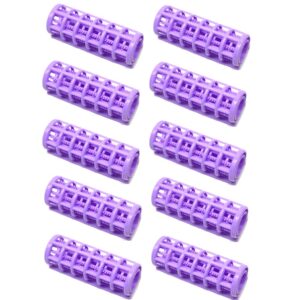 10pc Hair Roller Set W/Cover Small Assorted