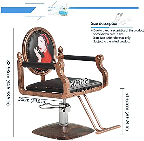 DFONCE Barber Chair,Hydraulic Barber Chair Salon Hair Beauty Chair Styling Equipment,C (Color : D)