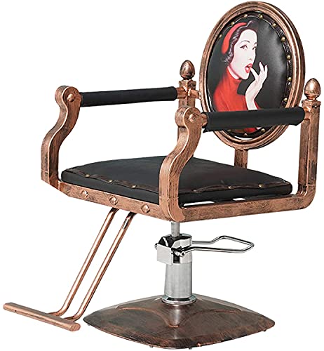 DFONCE Barber Chair,Hydraulic Barber Chair Salon Hair Beauty Chair Styling Equipment,C (Color : D)