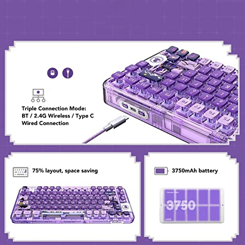 ASHATA Mechanical Keyboard, Transparent Case 80 Keys Keyboard, Triple Modes Gasket Structure Gaming Keyboard for Office School Game