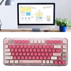 Heayzoki Wireless Mechanical Keyboard, Type C Wired Keyboard, BT 3 Mode Custom Hot Swappable Noise Reduction Gaming Keyboard with RGB Backlight 2 Layer Keycaps for iOS