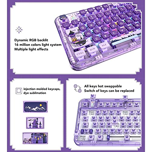 ASHATA Mechanical Keyboard, Transparent Case 80 Keys Keyboard, Triple Modes Gasket Structure Gaming Keyboard for Office School Game