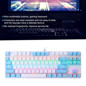 ASHATA Mechanical Keyboard, 87 Keys LED Backlit Mechanical Keyboard, Blue Switch Mixed Light Compact Mechanical Gaming Keyboard for PC Desktop Laptop (White Blue)