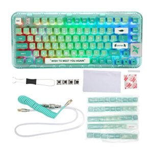 Acogedor Bluetooth / 2.4Ghz Wireless/Type - C Wired Mechanical Gaming Keyboard, RGB Hot - Swappable, Gasket Structure, 80 Keys, Transparent Case, 2 Layers Keycaps (Green)