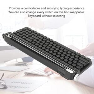 100 Keys Typewriter Keyboard,RGB Mechanical Gaming Keyboard Backlight,Ergonomic Keyboard Portable with 3Levels Adjustable Stand,Dual Mode Keyboard(5.1 Bluetooth Wireless,USB Wired) (Black)