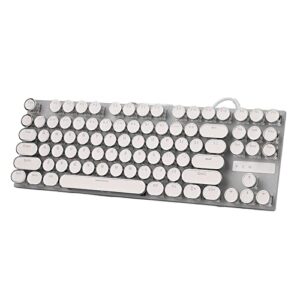 usb wired mechanical keyboard, 87 keys full size compact keyboards, waterproof gaming keyboard with 26 rgb color backlights for desktop pc and laptop, full key no collision (white electroplating punk)