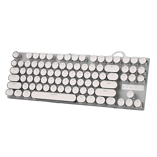 USB Wired Mechanical Keyboard, 87 Keys Full Size Compact Keyboards, Waterproof Gaming Keyboard with 26 RGB Color Backlights for Desktop PC and Laptop, Full Key No Collision (White Electroplating Punk)