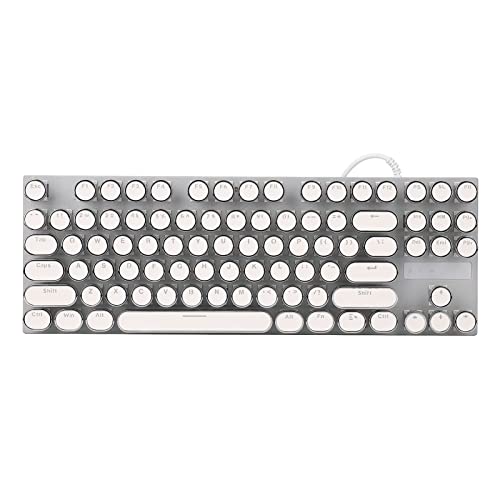 USB Wired Mechanical Keyboard, 87 Keys Full Size Compact Keyboards, Waterproof Gaming Keyboard with 26 RGB Color Backlights for Desktop PC and Laptop, Full Key No Collision (White Electroplating Punk)