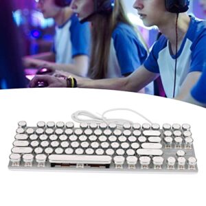 USB Wired Mechanical Keyboard, 87 Keys Full Size Compact Keyboards, Waterproof Gaming Keyboard with 26 RGB Color Backlights for Desktop PC and Laptop, Full Key No Collision (White Electroplating Punk)