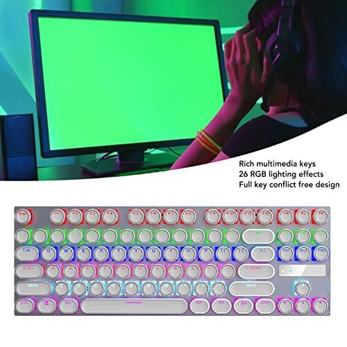 USB Wired Mechanical Keyboard, 87 Keys Full Size Compact Keyboards, Waterproof Gaming Keyboard with 26 RGB Color Backlights for Desktop PC and Laptop, Full Key No Collision (White Electroplating Punk)