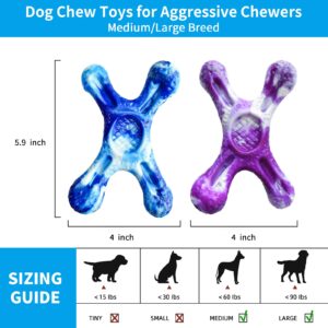 EASTPET 2 Pack Durable Dog Chew Toy for Aggressive Chewers,Beef Flavor,Nylon Material with dimpled Design for Medium Large Breed Dogs (Large, Bacon)