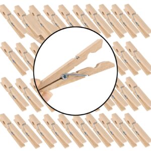 hoigon 300 pack 3 inch natural wooden clothes pins, sturdy large wooden clothespins, wood clips with spring, wood laundry pins for clothing, craft, hanging photo, clipping snacks